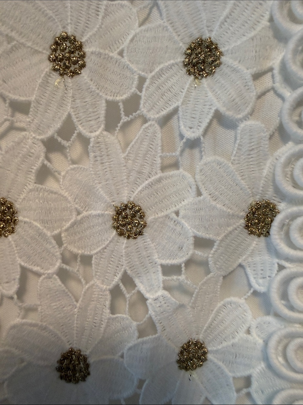 Boston Proper White Daisy Lace V-Neck Dress with Gold Trim - Picture 4 of 4